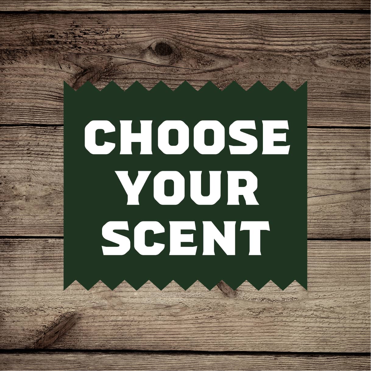 Lip Balm 4-Pack - Fresh Use