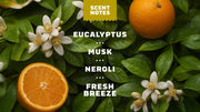 Mountain Meadow Spray Deodorant - Simple Guard