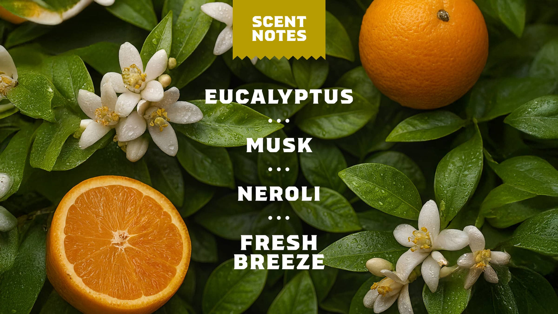 Mountain Meadow Deodorant - Daily Clean Routine