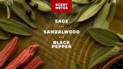 Sandalwood Summit Deodorant - Active Glide
