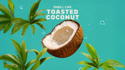 Coconut Castaway - Classic Fresh Lather