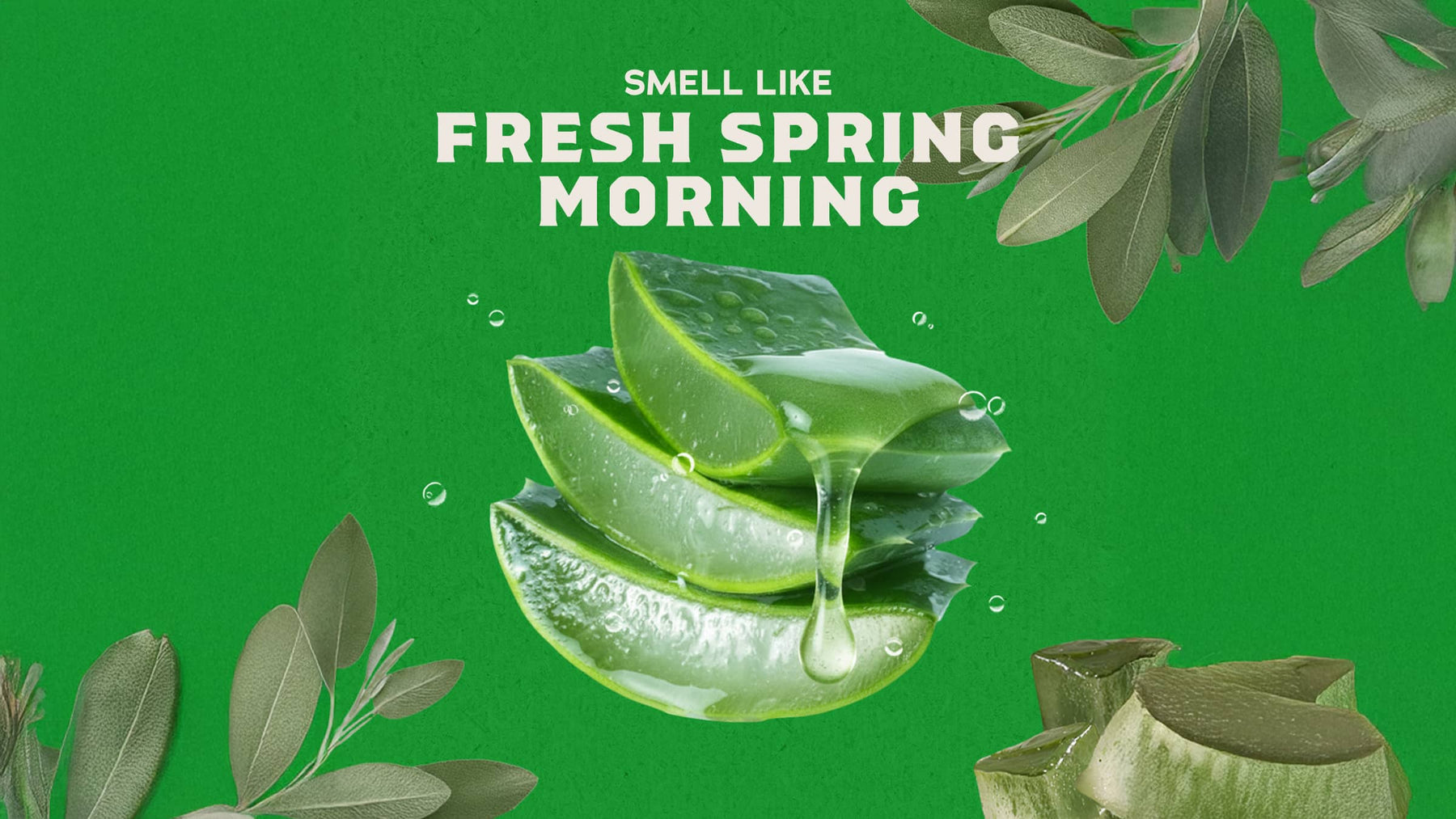 Cool Fresh Aloe Shampoo - Classic Daily Wash