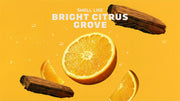 Summer Citrus Conditioner - Forest Signature