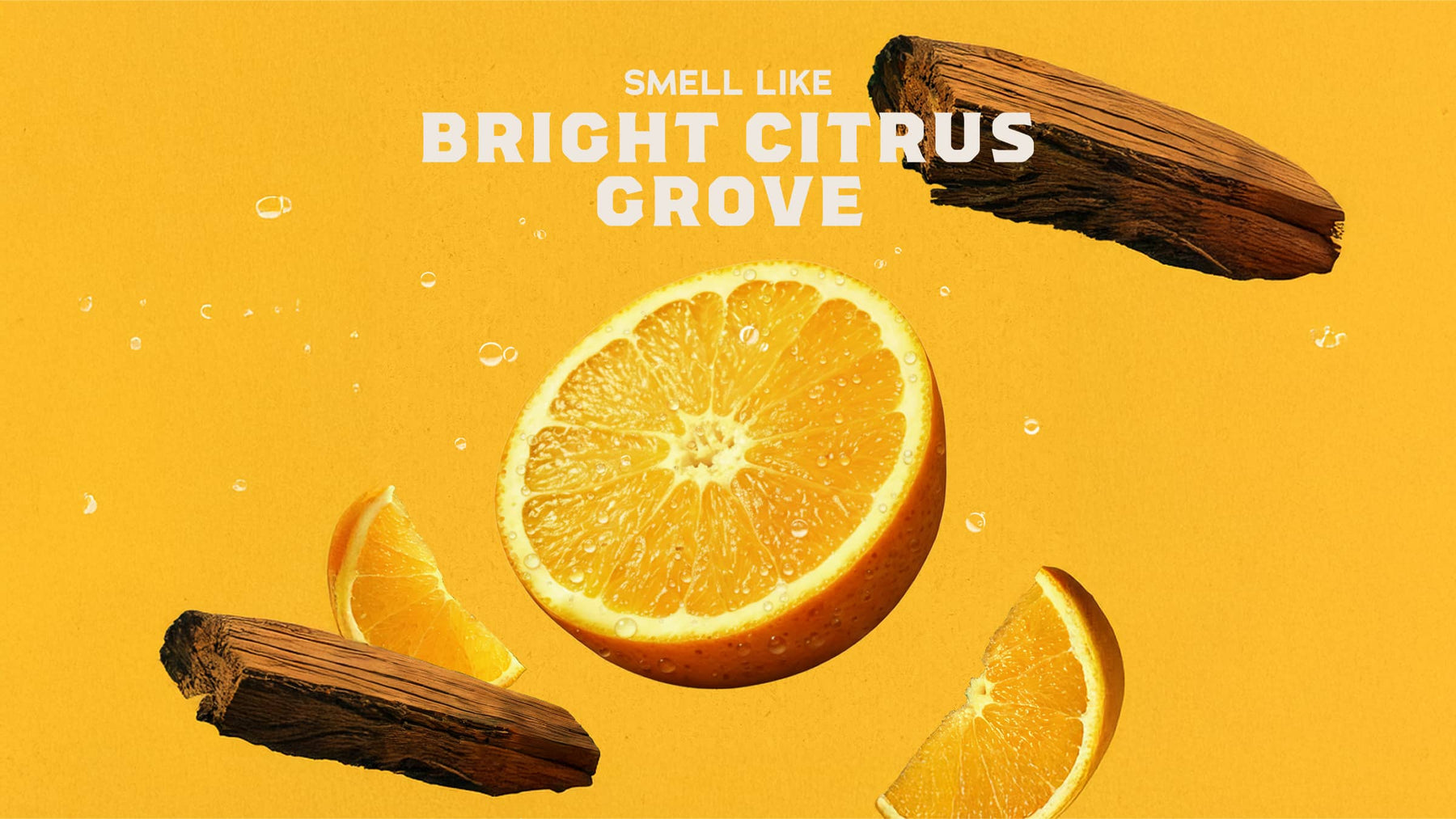 Summer Citrus Conditioner - Forest Signature