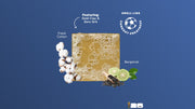 FIFA Golden Glory 3-Pack Bar Soap Bundle - Simple Travel Pack